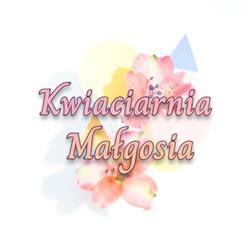 KWIACIARNIA MAŁGOSIA
