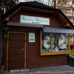 KWIATY U MAŁGORZATY
