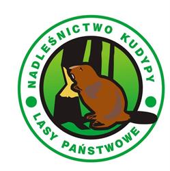 LASY PAŃSTWOWE NADLEŚNICTWO KUDYPY