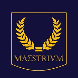 MAESTRIUM SZKOLENIA I DORADZTWO