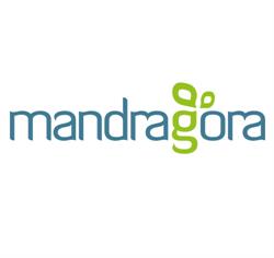Mandragora - masaz i terapie naturalne Katarzyna Nawrot-Radwan