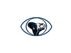 ELEFANT OPTYKA