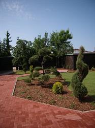 MOC ZIELENI