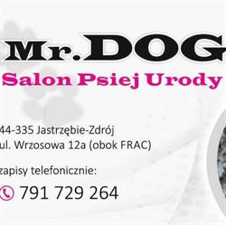 MR DOG SALON PSIEJ URODY DOMINIKA CIEŚLA
