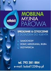 MYJNIA PAROWA EFEKT