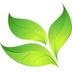NATURA I ZDROWIE RENATA SIEK