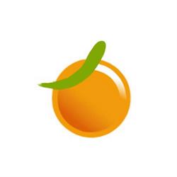 MROZIŃSKA KRYSTYNA, NAUCZANIE JĘZYKÓW OBCYCH "TANGERINE SCHOOL"