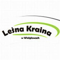 NIEPUBLICZNE PRZEDSZKOLE LEŚNA KRAINA W WIELGŁOWACH