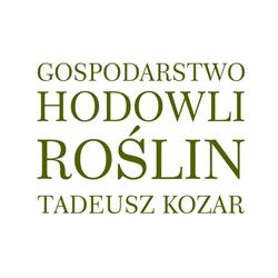 Tadeusz Kozar Gospodarstwo Hodowli Roślin w Dziekanowie