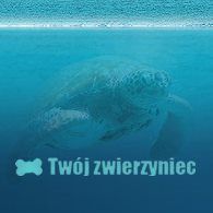 TWÓJ ZWIERZYNIEC TOMASZEWSKI ŁUKASZ