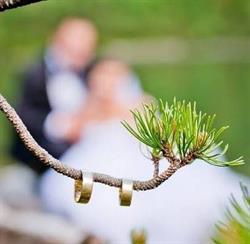 ZARZYKA GRZEGORZ ZARZYKA.EU ZARZYKA GRZEGORZ | Fotografia