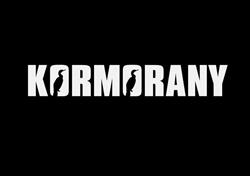 SŁAWOMIR PRZYBYLSKI ZESPÓŁ MUZYCZNY KORMORANY