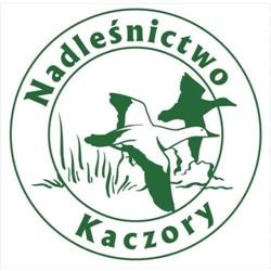 Nadleśnictwo kaczory