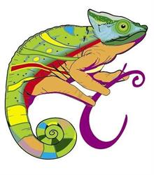 Solarium Cameleon