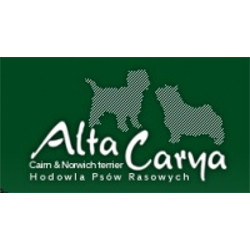 "Alta Carya FCI" Hodowla Psów Rasowych Joanna Chmielecka