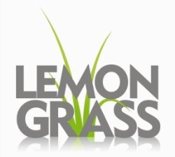 Lemongrass Studio Agencja reklamy i poligrafii