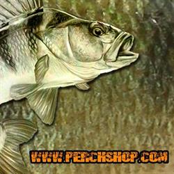 PERCHSHOP