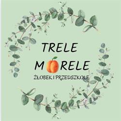 ANNA TOBIASZ KOŹMIŃSKA PRZEDSZKOLE PRYWATNE TRELE MORELE