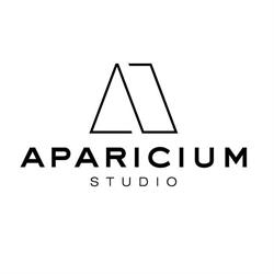 APARICIUM STUDIO JOANNA DZIERŻYŃSKA