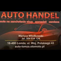 AUTO HANDEL