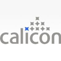 CALICON MACIEJ KRYSIŃSKI
