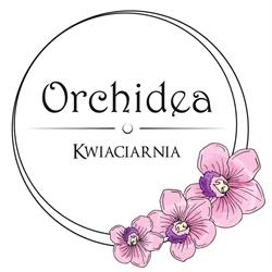 DOROTA NIEDZIAŁEK Kwiaciarnia Orchidea