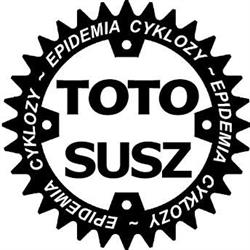 FIRMA HANDLOWO USŁUGOWA TOTO