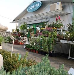 Centrum Ogrodnicze Sosna