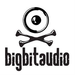 KATARZYNA MŁODOCHOWSKA BIG BIT AUDIO