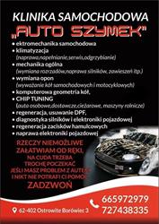 KLINIKA SAMOCHODOWA AUTO SZYMEK JERZY DOMERACKI