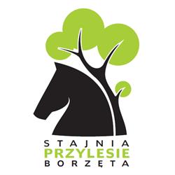 Klub Jeździecki Stajnia Przylesie Borzęta Magdalena Korus