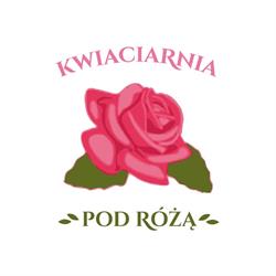 KWIACIARNIA POD RÓŻĄ DANUTA BRZOZOWSKA
