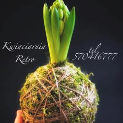 KWIACIARNIA RETRO ANNA ROKICKA