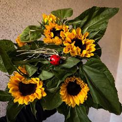 KWIACIARNIA FANTAZJA FIGURA URBAŚ MARCELINA
