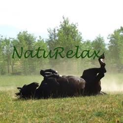 NATURELAX MONIKA STANOWSKA