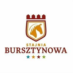 OŚRODEK REKREACYJNO SPORTOWY STAJNIA BURSZTYNOWA ANNA ROTT