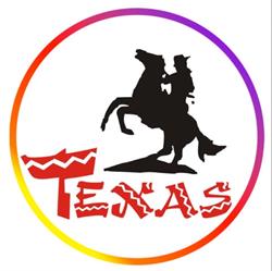 PHU TEXAS S C ALEKSANDRA WIŚNIEWSKA RADOSŁAW REJMER
