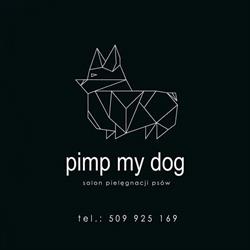 Pimp My Dog