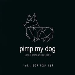 Pimp My Dog