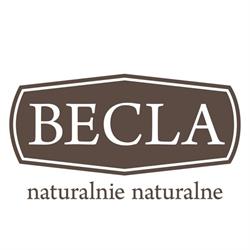 PRZEDSIĘBIORSTWO PRODUKCYJNO HANDLOWO USŁUGOWE AWB ALINA BECLA
