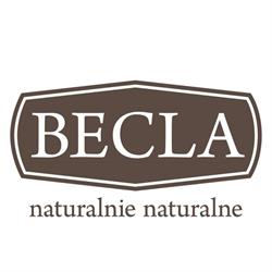 PRZEDSIĘBIORSTWO PRODUKCYJNO HANDLOWO USŁUGOWE AWB ALINA BECLA