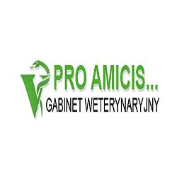 Pro Amicis