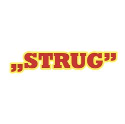 STRUG JANUSZ FIRMA USŁUGOWA STRUG