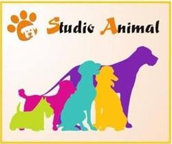 STUDIO ANIMAL
