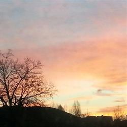 TOWARZYSTWO PRZYJACIÓŁ MIASTA OGRODU SOKOLNIKI