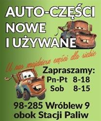 TOMASZ SARNIK AUTO SERWIS MYJNIA WULKANIZACJA