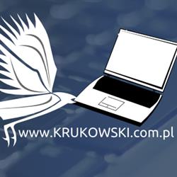 USŁUGI INFORMATYCZNE