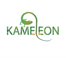 KAMELEON PAWEŁ BARTKOWIAK