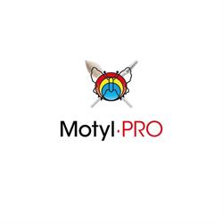 Frezy do frezarek do paznokci Motyl-Pro
