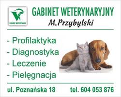 Uslugi Weterynaryjne M. Przybylski
